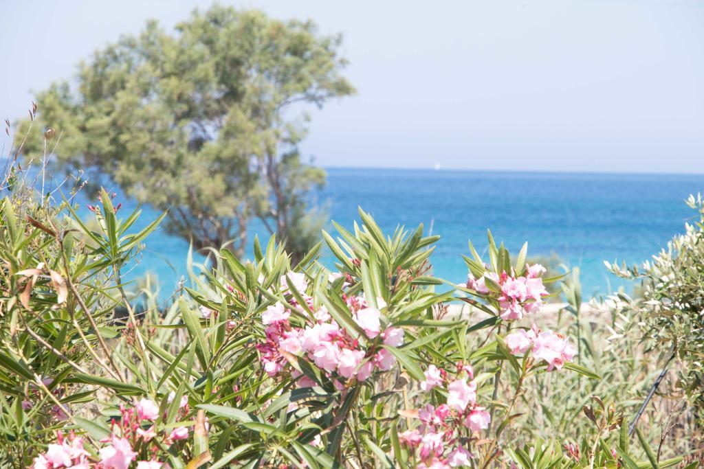 אנטיפארוס Villa Yialos מראה חיצוני תמונה